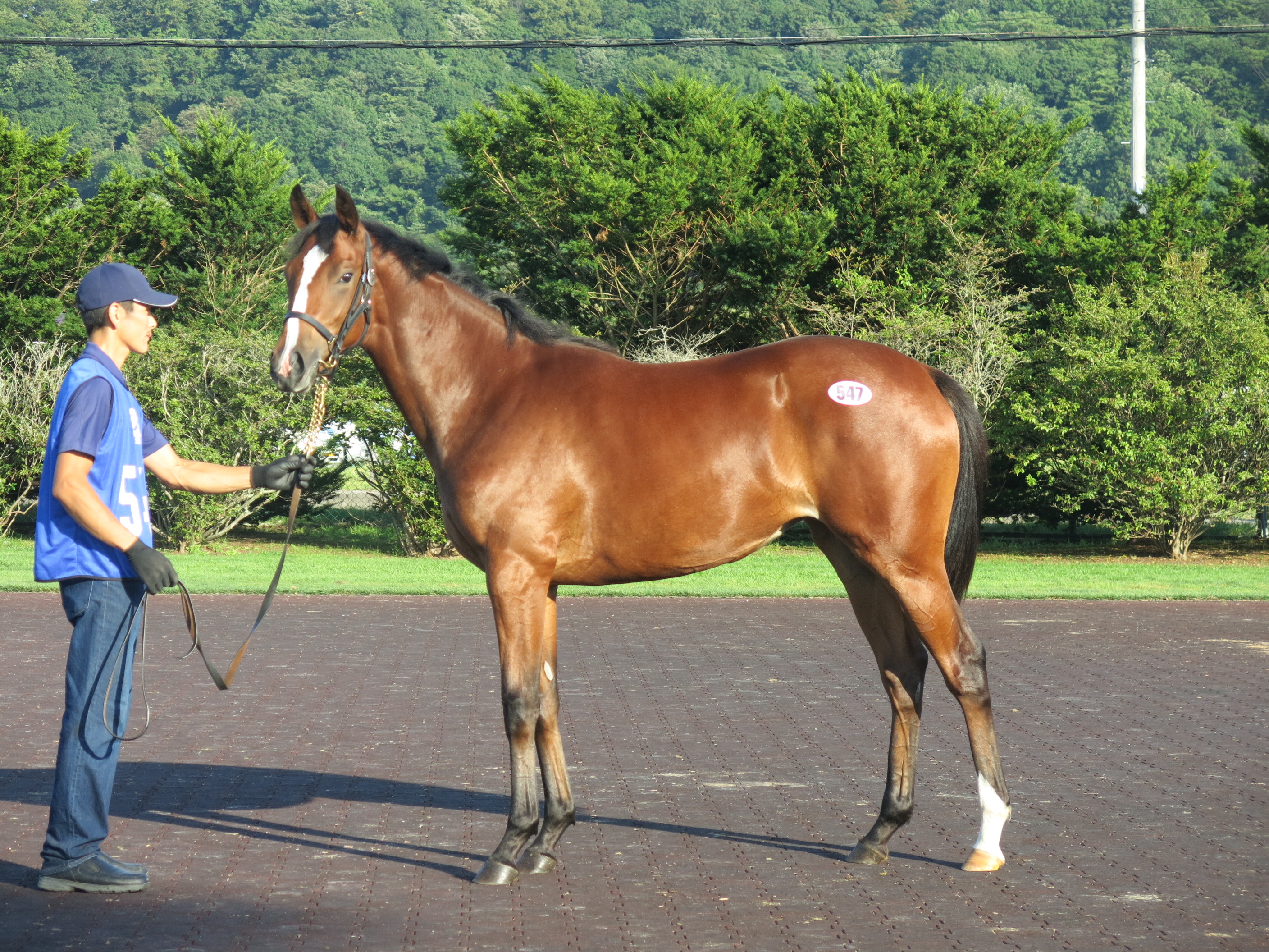 2016年3月 8日｜地方競馬元ジョッキー 赤見千尋のRedView｜地方競馬ならオッズパーク競馬