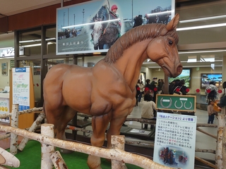 2023ばんえい記念空港の馬.JPG