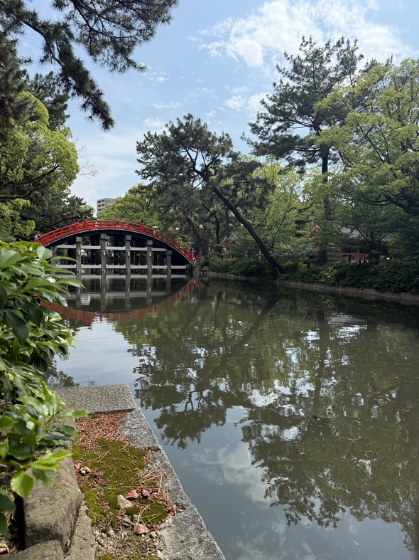 IMG_0143.jpeg