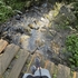 IMG_2290.jpeg