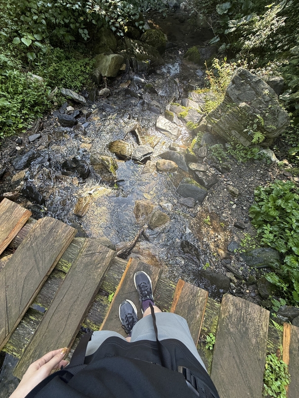 IMG_2290.jpeg