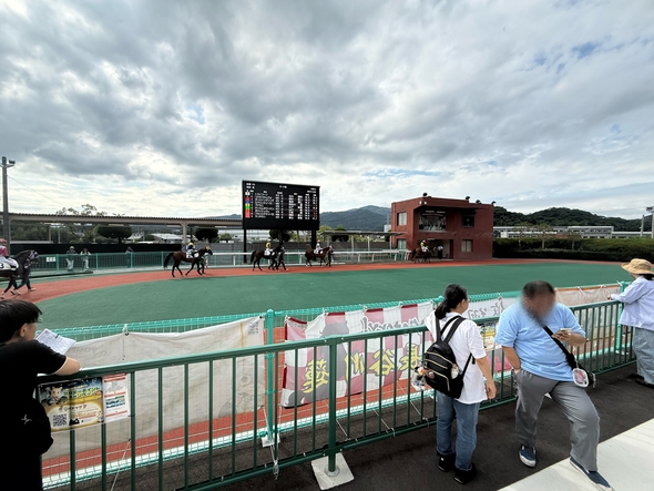 IMG_1080.jpeg
